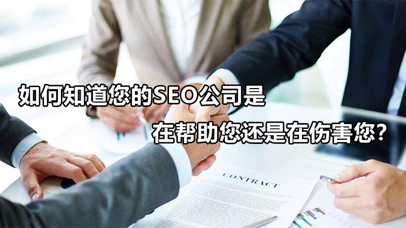如何知道您的seo公司是在帮助您还是在伤害您（seo哪个公司做得好）
